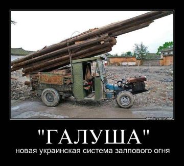 ������ ����������� ���: �������� ������ ����������, ��� � ���������