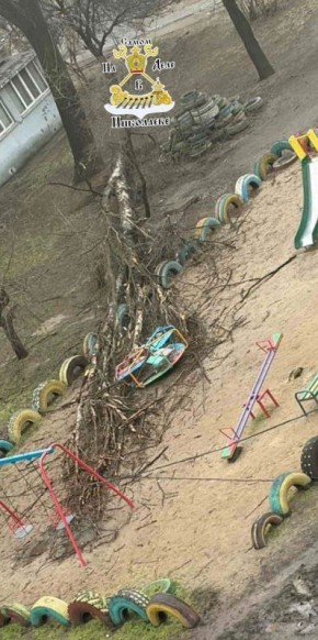 30 жалоб от Николаевцев. На сегодняшний день, 17 февраля, в скандально известные «Николаевские парки» поступило около 30 заявлений от жителей Николаева, касающихся поваленных деревьев и сломанных веток