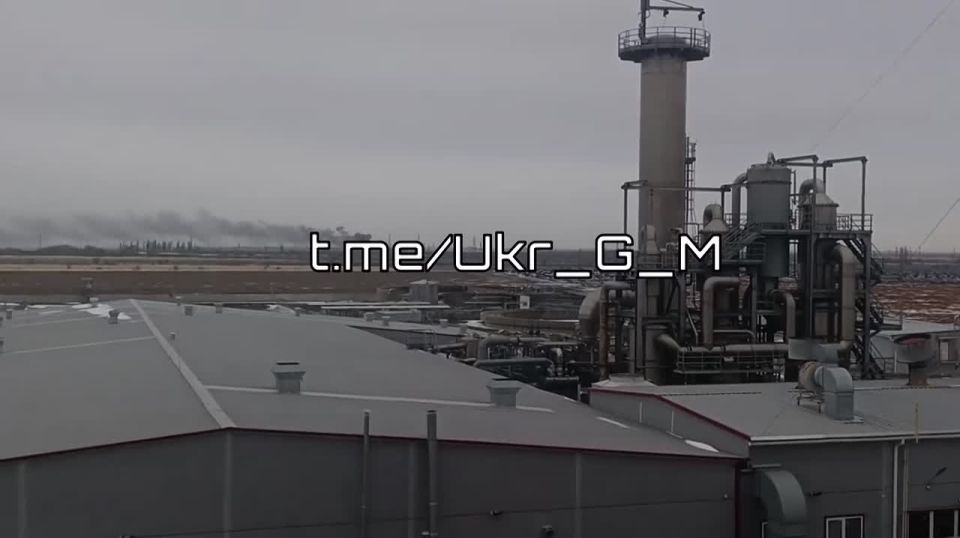 ����� ��������� �������� �������������� �������������� ������ "��������" � �.�. ��������� ������������ �������