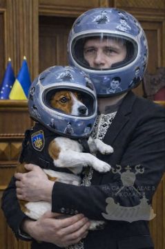 Гераскевич и пёс Патрон выразили ноту протеста Ирану, за то, что он вероломно перехватил информационную повестку и переключил внимание со шлема