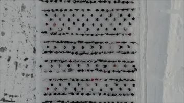 1 На льду Якутии 700 человек выстроили узор и слово «удивляйтесь»