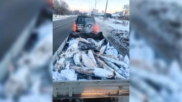 � ����������� ���� ������� ��������� �������� ������, ��������� ������������� 15 ������� � �����