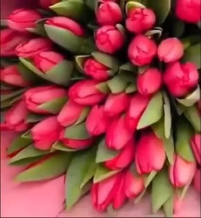 ���� �����, ������, ������, ����������, �����������, ��������� ������ � ���������� �������, �������������� � ������������� ������� ���� 8� � ���������������,��������, �����������������!