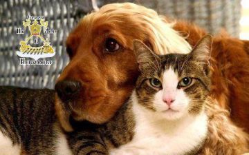 �� ������� � ����� ������ ����������� ����� ����� ���������� ��������