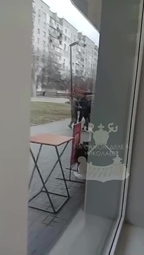 ����������, �������� ������������