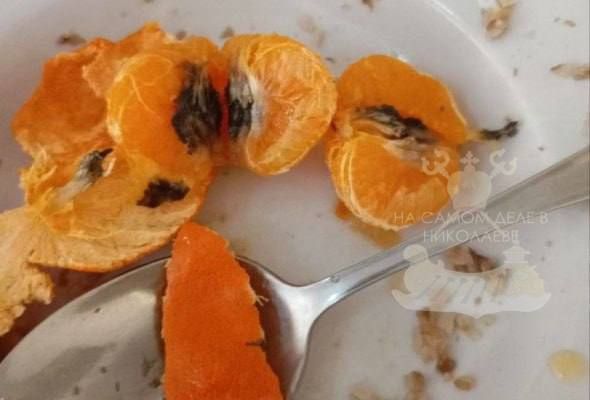 В Николаевском лицее № 38 детям на обед выдали гнилые мандарины