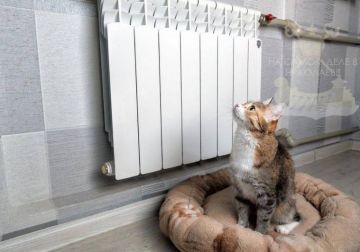 ������� ��������� � ��������� ��� ������ ���� ��������� ���������