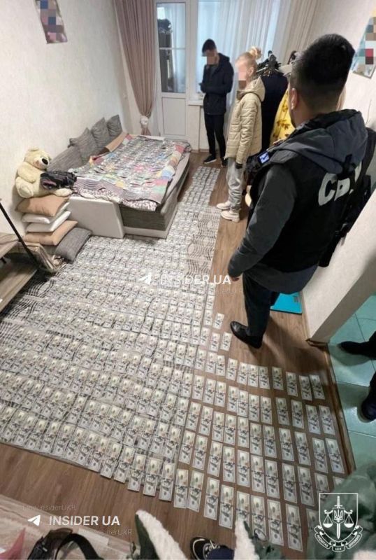 #украина_под_микроскопом: откупилась: экс-глава Николаевской МСЭК решила передать 4,7 млн украденных гривен на ВСУ