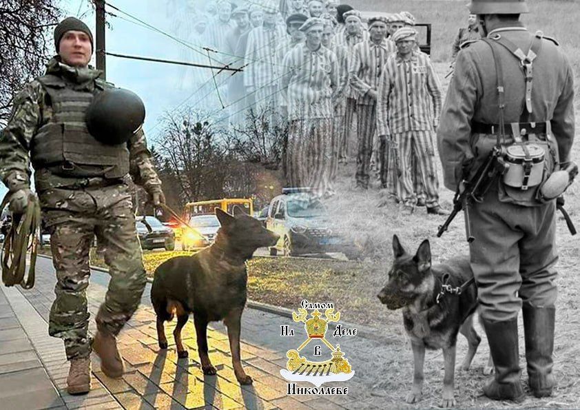 �������� 1940-� = ������� 2026