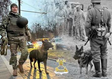 Германия 1940-е = Украина 2026