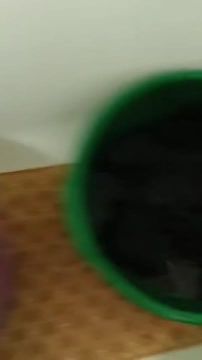 ������� ������� ���� ����, ����� ������� �� ����������