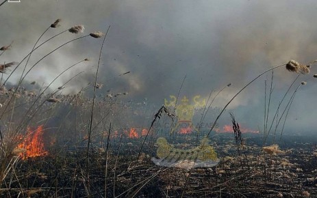 День огня в области: 15 пожаров за сутки