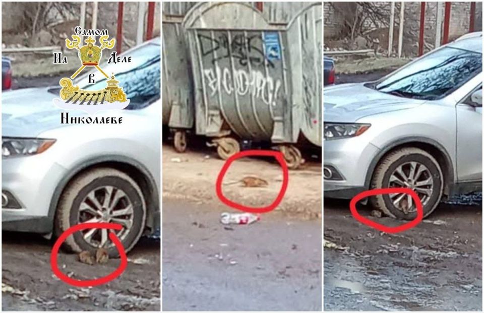 Николаев уже почти как Париж