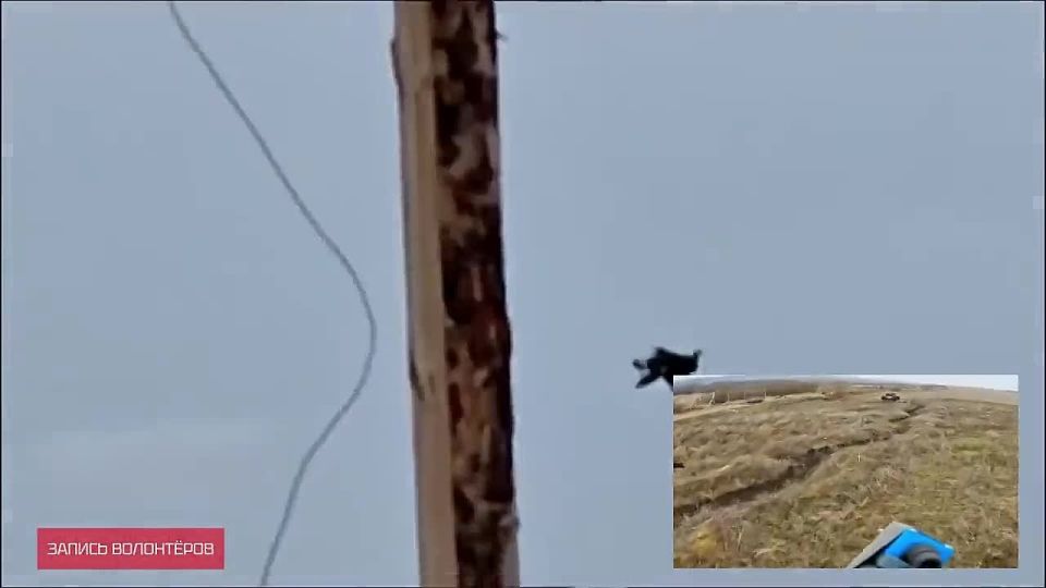 �������� ������ �����-FPV, �������� � ������, ��������� �������� ������������ ������������� � ������ ��������