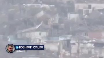 ������� ������: ����� ���-������������� - ����� ������� �� ����� ����