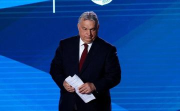 ������ ����� ���� � ������