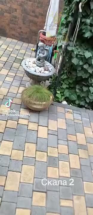 ���������� � ���� �����. � ��������� ��������� ������ ���� ������� �������, � �������� ����������� �� ����� ��������� � ���� ��������