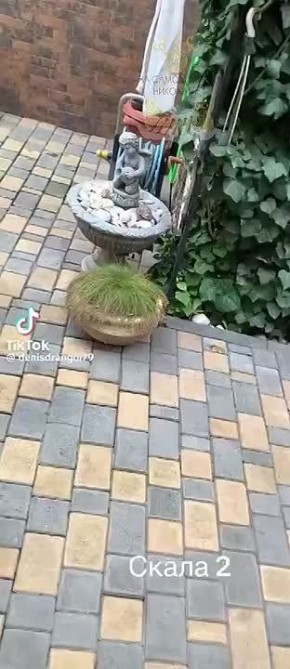 ���������� � ���� �����. � ��������� ��������� ������ ���� ������� �������, � �������� ����������� �� ����� ��������� � ���� ��������