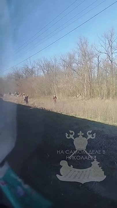 Жительница Николаева показала, как выглядит последнее нововведение по «безопасности» от «Укрзализныци»