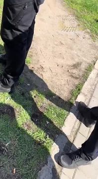 ��������. ����� ������� � ������� ���������