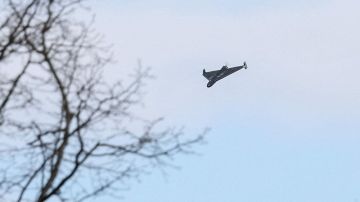 ��� ����������� �������� �������� �� 20 "�������". ������� ���