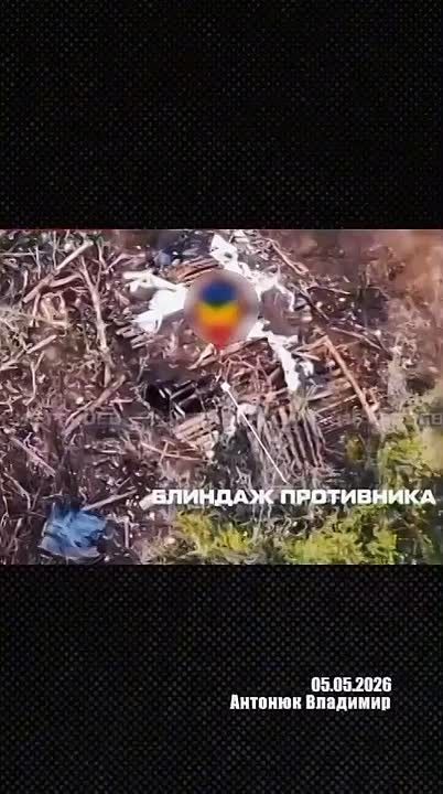Александр Сладков: Канал «Украина пропадает без вести»