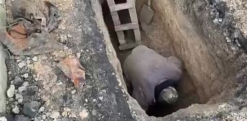 �� ��������� ������� ��� ����!!!