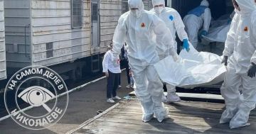 Россия и Украина провели очередной обмен телами погибших военнослужащих