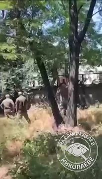 На войне с упырями ТЦК все средства хороши