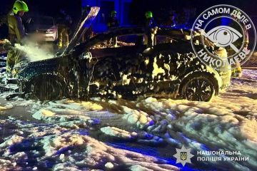 Николаевская полиция отчиталась о задержании двух поджигателей военных авто