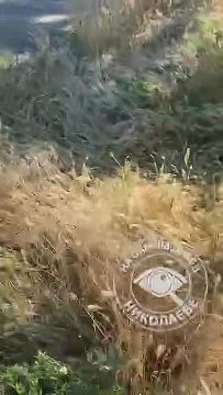 �������� �������� ��������� ��������