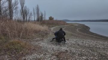� ����� ��������� ��� ������ ���������� ���������