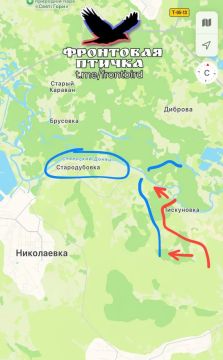 "Фронтовая птичка" сообщает о продвижении ВС РФ за Пискуновкой