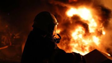 19 групповых ударов и более 10 тысяч убитых бойцов ВСУ: итоги СВО за неделю