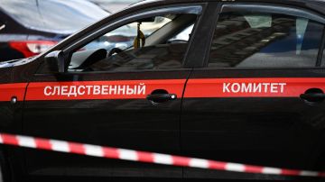СК возбудил дело о теракте после атак на склады Wildberries. Новости СВО