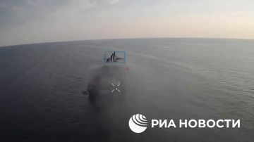 Минобороны показало, как российские дроны поразили судно с грузом для ВСУ в районе острова Змеиный
