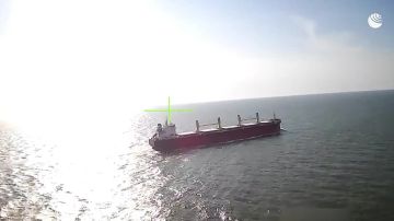���� ���� ���� ������� ���������