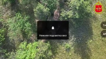 ���������� ������: �������� ������: ��������� ���������� ����� �� ������������ �����������