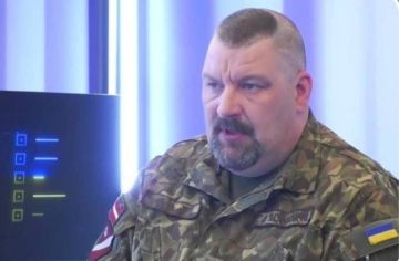 «Я не до конца уверен в возможностях Латвии, но стоило бы хотя бы попробовать это сделать – похитить или ликвидировать Путина и Лукашенко»