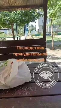 Отчаяние... Житель Николаева, который стал жертвой скотской системы Зеленского, не боится говорить правду о местных продажных чиновниках и причинах СВО в целом