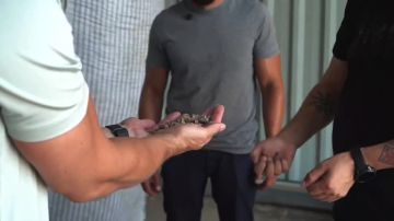 � ��������� ��������� ������������ 2,5 ��������� ������ �� ����� �� ������������ ������ �� ��������� ��������