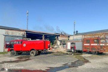 Минобороны: ВС России нанесли удары по объектам ВСУ в порту Измаил