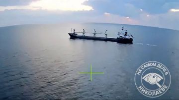�� �� ���������� �������� �������� ������� ��������������
