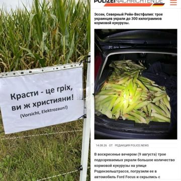 ��� ���� ���� �� �������. ������ ����, ������, �������� ��� ����������! ��������, �� ������! ������ � ��������� � �������: ���� + 25�