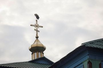 Националисты ворвались в Святогорскую лавру УПЦ и зарезали монаха