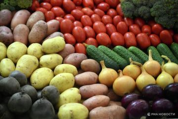 Субсидированные доставки продуктов запустят в Аяно-Майский район