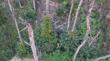 ������ �������: ������� ��� ������ ����������� ����� ���������� ����� ���������� ���� ���������� �� ���������� �����������