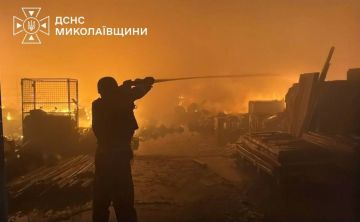 ВС РФ этой ночью нанесли удары по Николаевской области