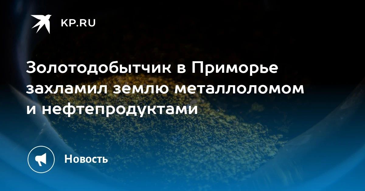 Золотодобытчик в Приморье очистил участок от металлолома и нефтепродуктов