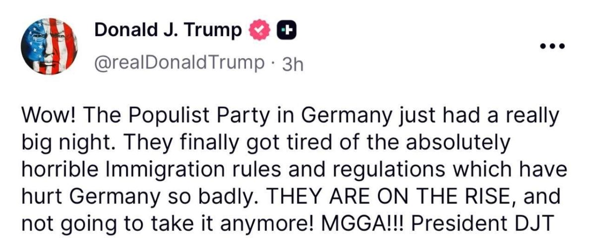 Трамп поддержал победу АдГ на выборах в Германии:
